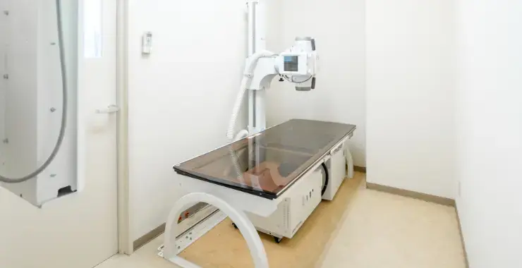 各種健診・予防接種を実施のイメージ画像